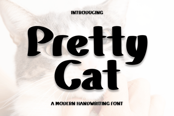 Pretty Cat: A Modern Handwritten Font for Editorial Charm